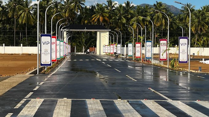 Paved road lined with VIP signs and palm trees, leading to a gated entrance under a clear blue sky.