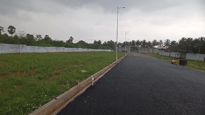 Paved road beside a grassy plot, bordered by a white wall, under a cloudy sky with distant palm trees.