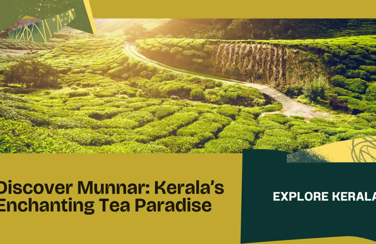  Munnar: Discover Kerala’s Enchanting Tea Paradise